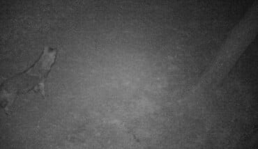 IMG 20190308 WA0001