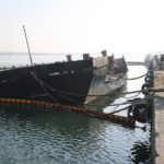 MA19 ZANI3311