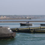 MA19 ZANI3322