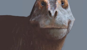 Dino