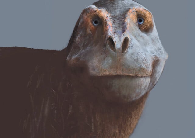 Dino