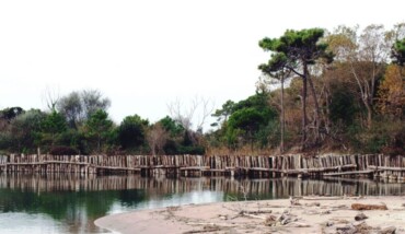 Fotoarticolo