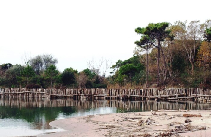 Fotoarticolo