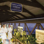 Magazzino Darsena Spa