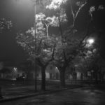 Piazza Garibaldi (Lorenzo Tugnoli, dalla serie "La notte e lo zen", nell'ambito del progetto Lugo Land 2009, a cura di Luca Nostri)