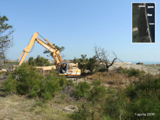 2019 04 01 Lavori Passerella Zona Rossa Tra Le Dune