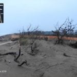 2019 04 04 Passerella Nord Tra Le Dune4