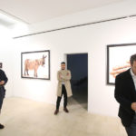 La mostra di Oliviero Toscani al Mar