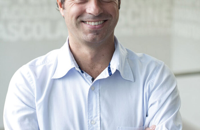 Accardi