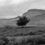 Orizzontale 02