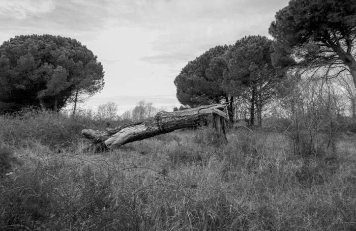 Orizzontale 52