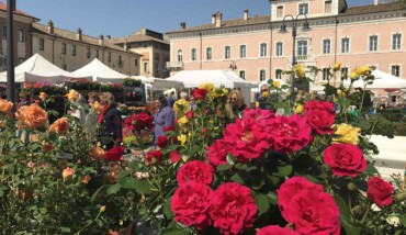 Ravenna In Fiore 2