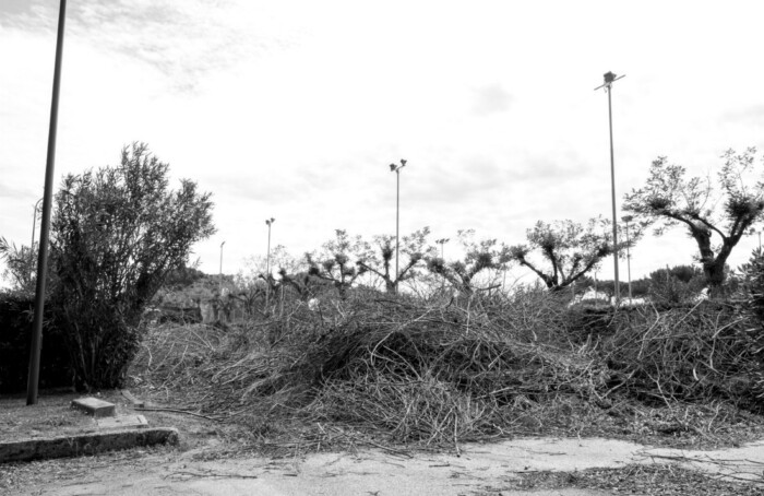 17052019 DSCF1155