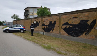 Darsena Imbrattamento 2