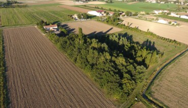Il Bosco Di Adler 