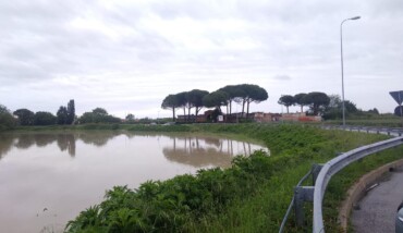 Cervia
