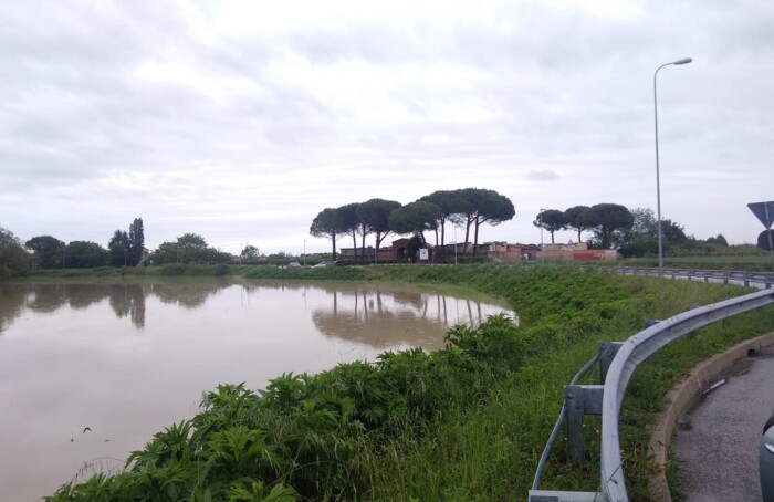 Cervia