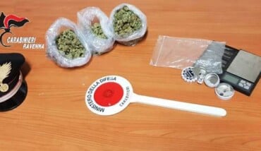 Marijuana