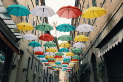Ombrelli Via Mentana