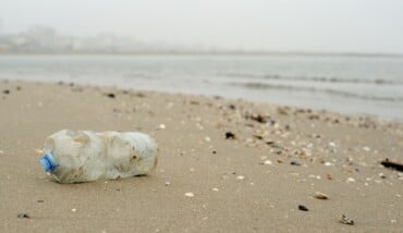 Plastic Pollution Sea