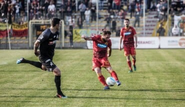 Selleri Vicenza