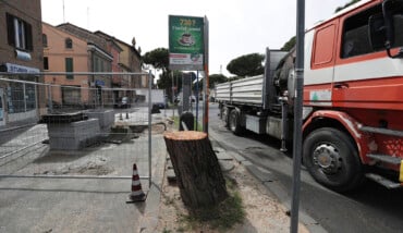 Il pino tagliato di via Maggiore