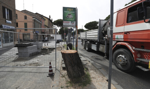 Il pino tagliato di via Maggiore