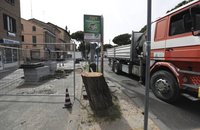 Il pino tagliato di via Maggiore