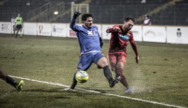 Selleri Fermana