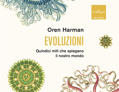 Harman Evoluzioni