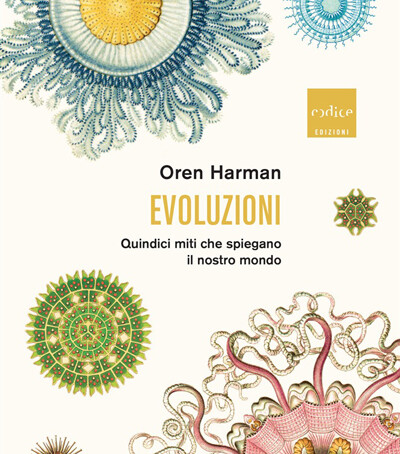 Harman Evoluzioni
