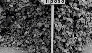 Silenzi e riposi