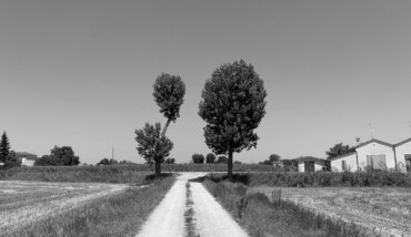 Il passo lento