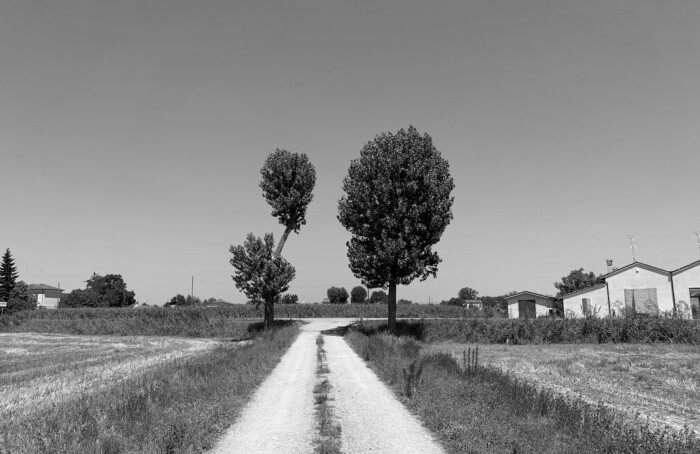 Il passo lento