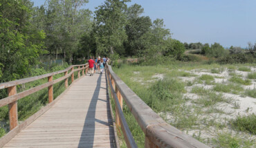 Inaugurazione Passerelle Lido Di Classe
