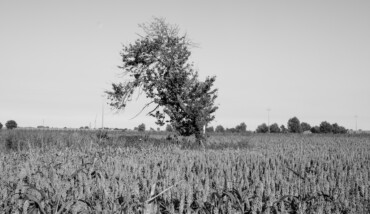 05092019 DSCF2117