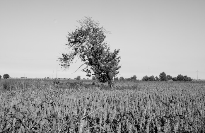 05092019 DSCF2117