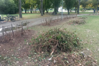 Parco Fagiolo Senza Cintura Verde