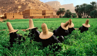 YEMEN 10009NF2 Forweb