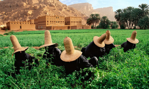 YEMEN 10009NF2 Forweb