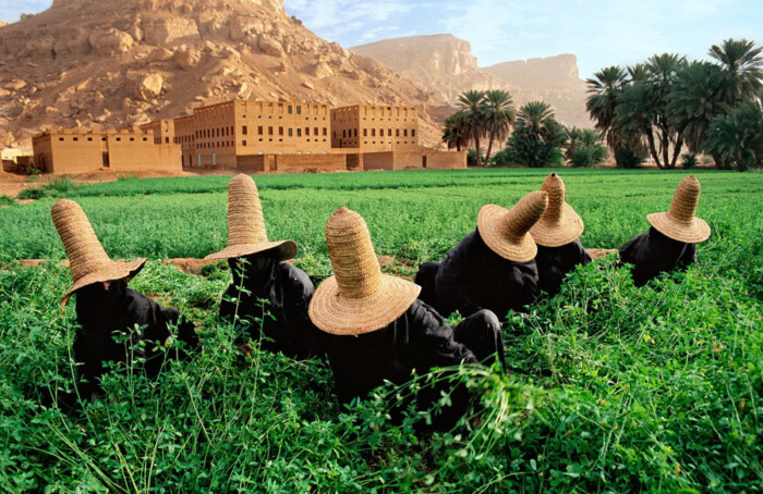 YEMEN 10009NF2 Forweb