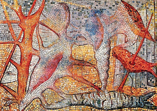 Galassi Paesaggio Marino