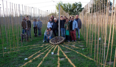 Il Gruppo Di Lavoro Associazione Dis ORDINE