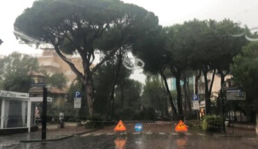 Caduta Alberi