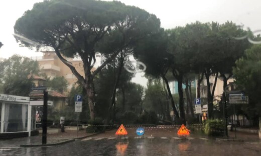Caduta Alberi