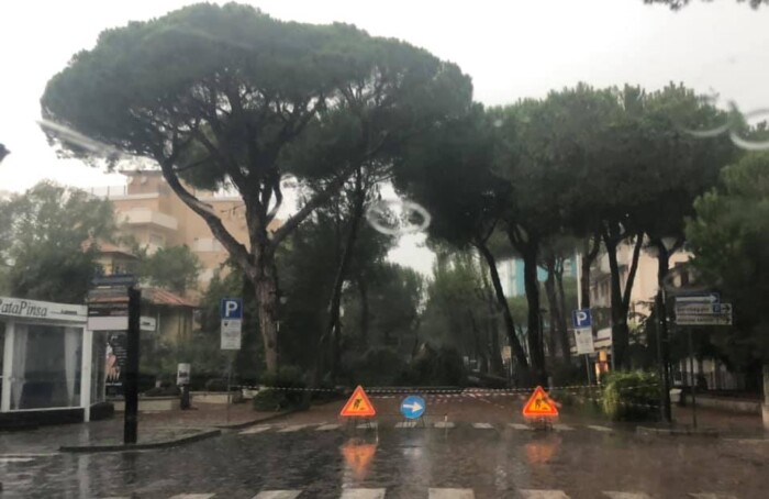 Caduta Alberi
