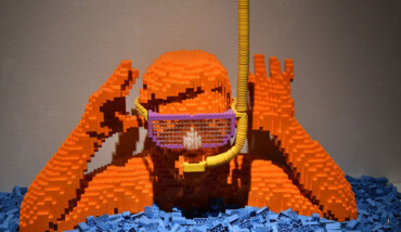 Mostra Mar Lego Ravenna