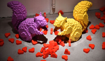 Scoiattoli Lego Mar