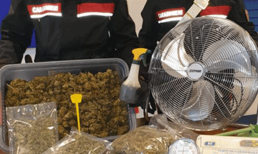 Sequestro Marijuana Carabinieri Ravenna