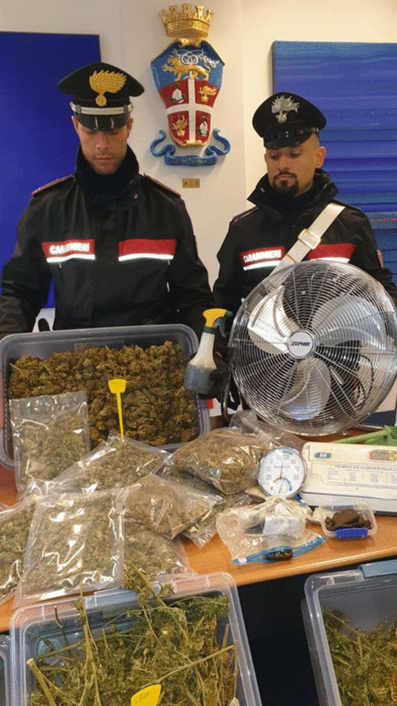 Sequestro Marijuana Carabinieri Ravenna